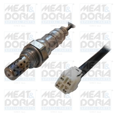 Oxygen Sensor